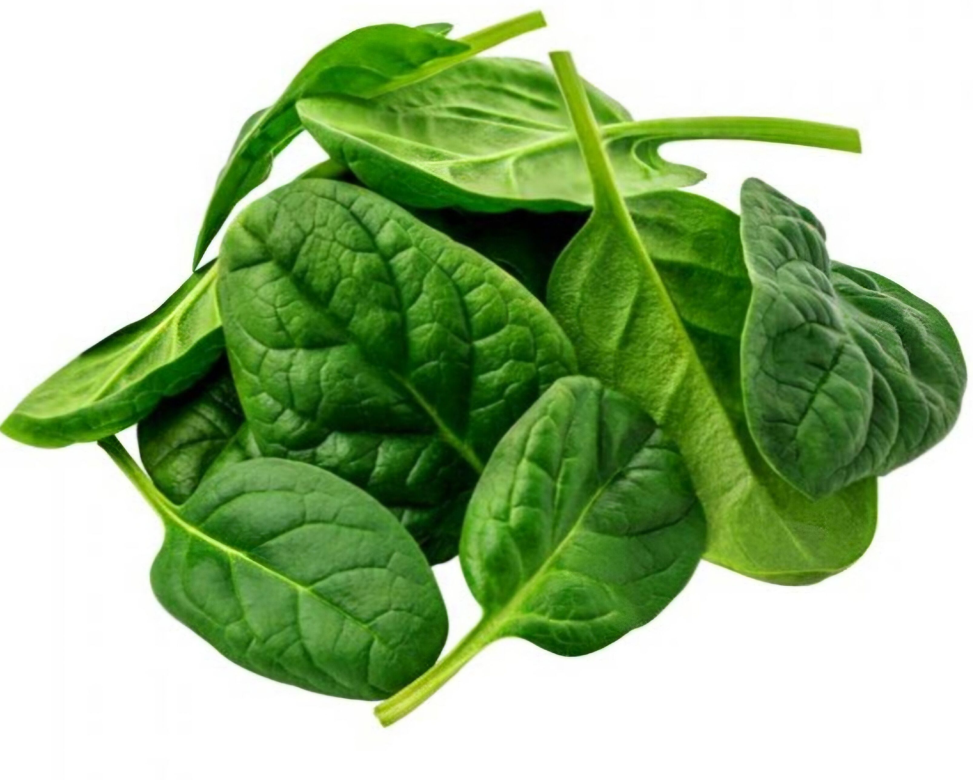 Spinach