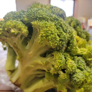 Broccoli