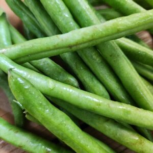 Fresh Green Snap Beans