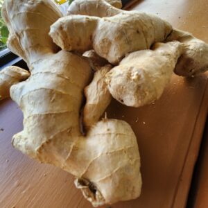 Ginger Root