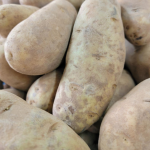 Potatoes Idaho