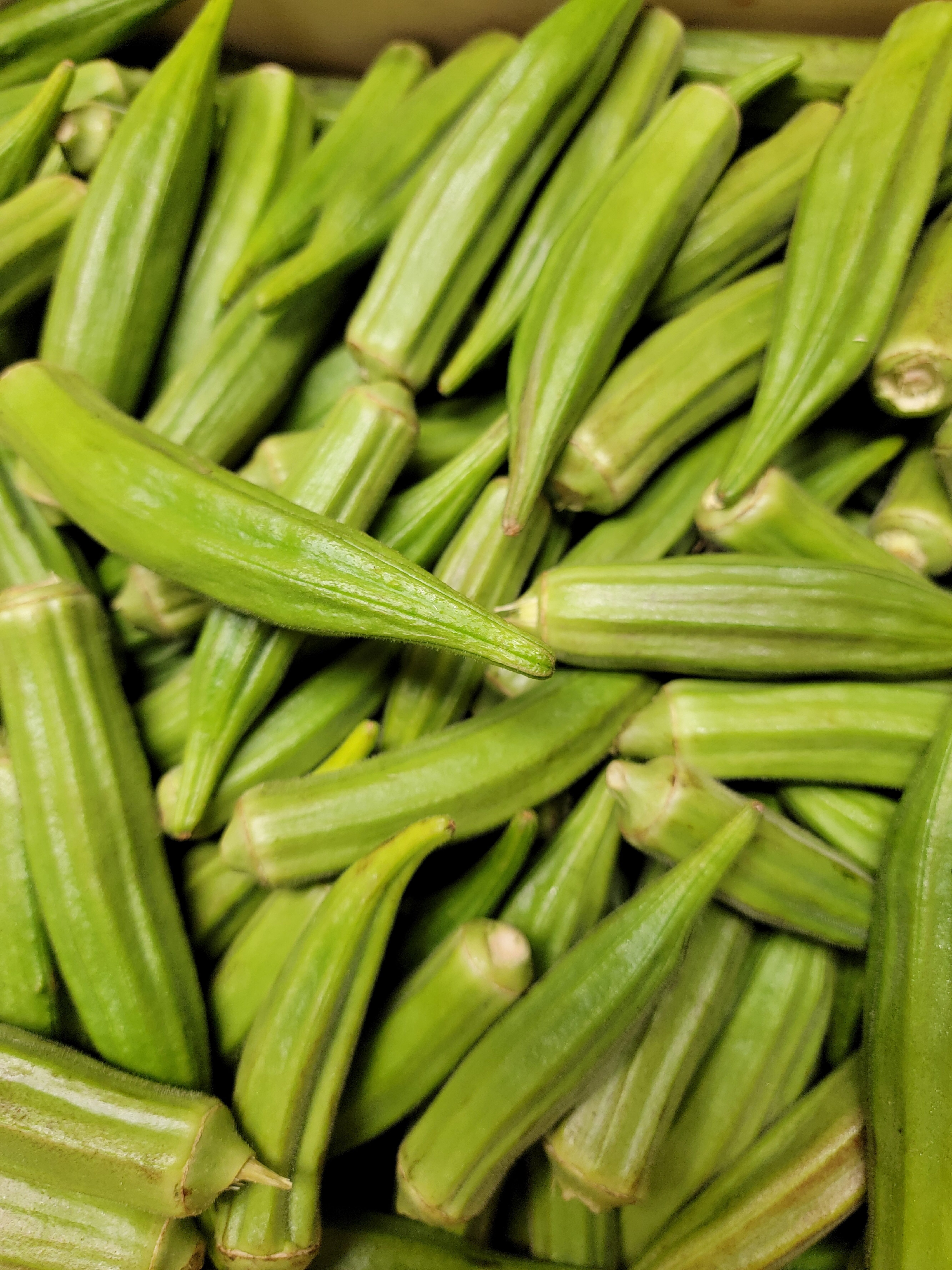Okra