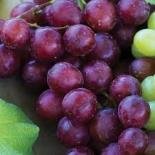 Grapes Red