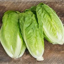 Lettuce Romaine