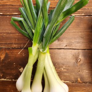 Vidalia Green Onion
