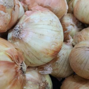 Yellow Onions