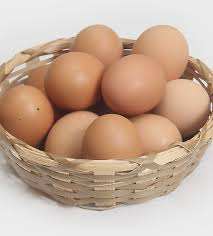 Farm Fresh Eggs Chicken Doz