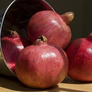Pomegranate