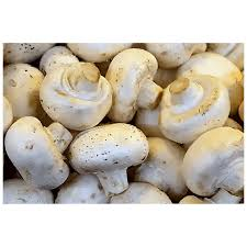 Whole White Mushrooms