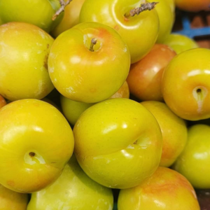 Green Plums